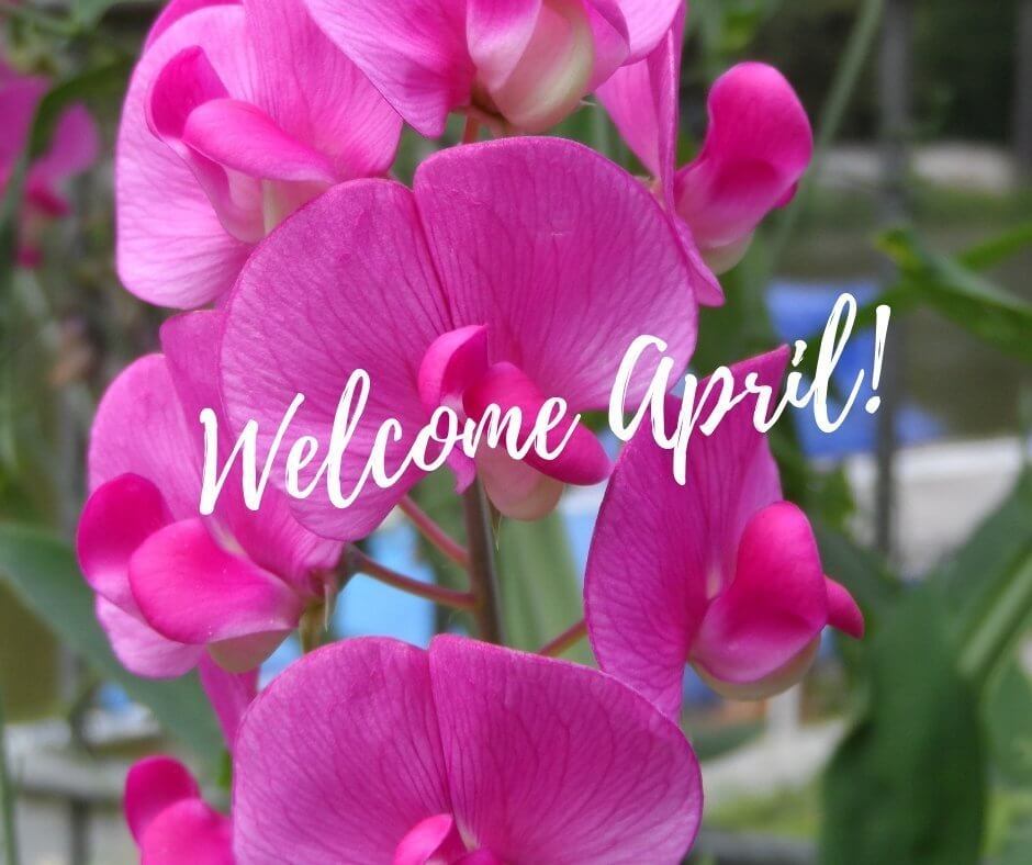 welcome-april