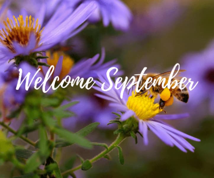 welcome September