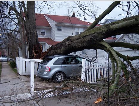 What Does Homeowners Insurance Cover?